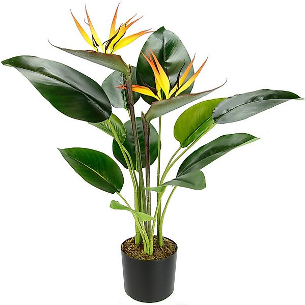 Kunstpflanze Strelitzienpflanze im Topf, I.GE.A., Höhe 62 cm, Kunstblumen Z günstig online kaufen