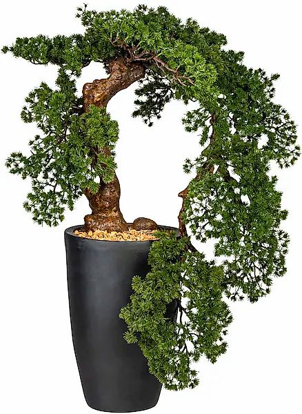 Leonique Kunstbonsai »Carolyne« Kunstpflanze, im Magnesiatopf günstig online kaufen