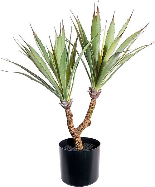Künstliche Zimmerpflanze Agave Sukkulente, Creativ green, Höhe 60 cm günstig online kaufen