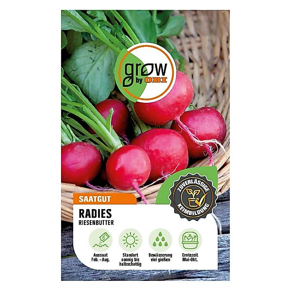 GROW by OBI Schnittlauch Medium Leaf günstig online kaufen