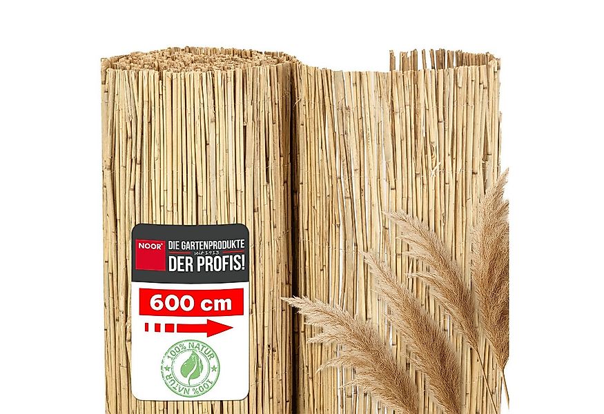 NOOR Sichtschutzzaunmatten Schilfrohrmatte ST. TROPEZ, natürlicher Sichtsch günstig online kaufen