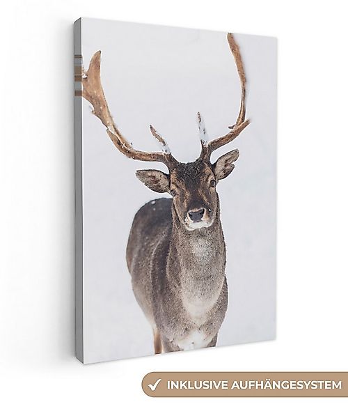 OneMillionCanvasses® Leinwandbild Hirsche - Geweihe - Schnee - Winter, Foto günstig online kaufen