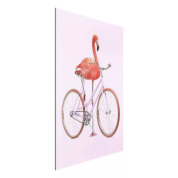 Alu-Dibond Bild Kunstdruck - Hochformat 2:3 Flamingo mit Fahrrad günstig online kaufen