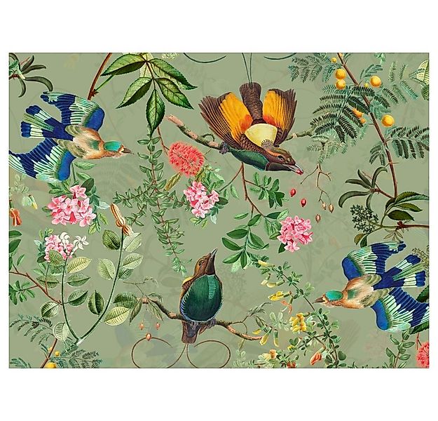 raxxa Platzset raxxa Premium-Platzset"Paradies Vögel im Vintage Garten", (S günstig online kaufen