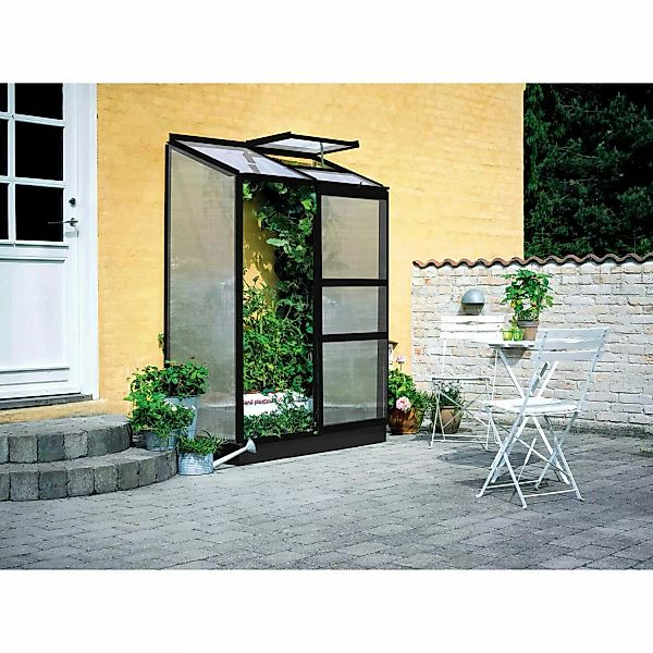 Halls Gewächshaus Altan 2 Schwarz 0,9 m² günstig online kaufen