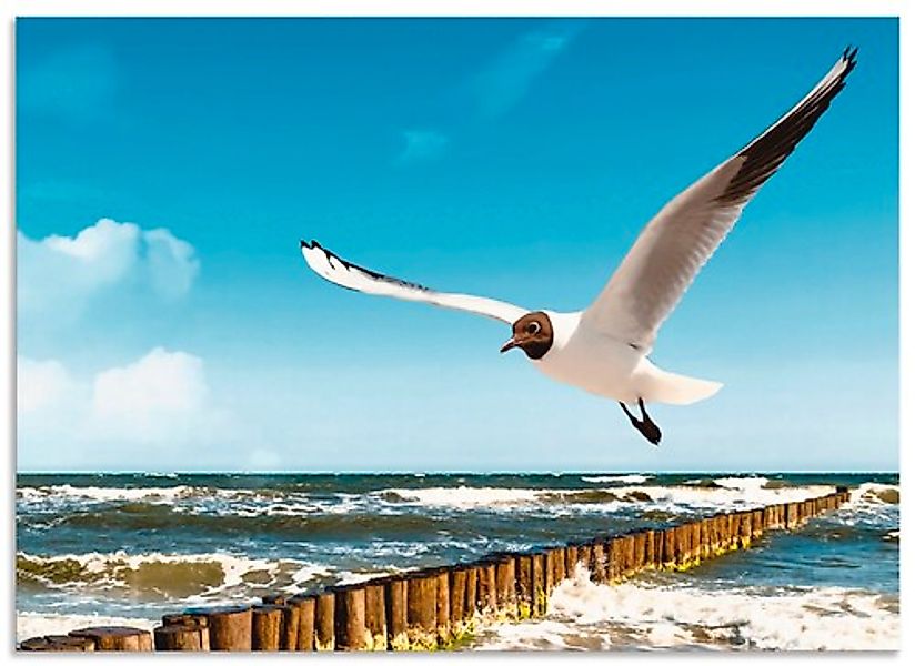 Artland Küchenrückwand "Ostsee", (1 tlg.), Alu Spritzschutz mit Klebeband, günstig online kaufen