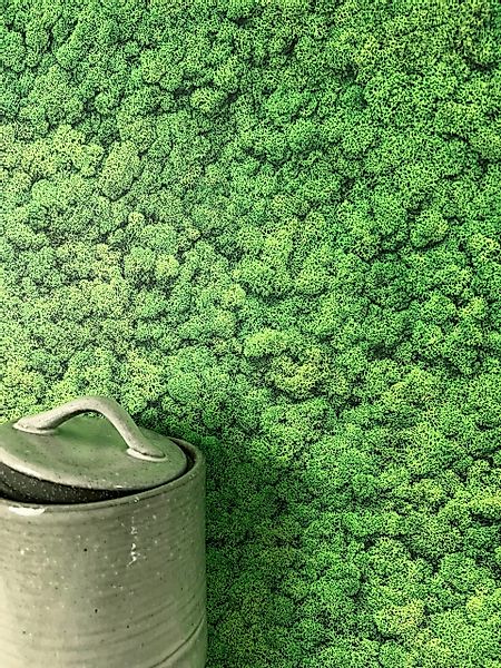 Newroom Vliestapete, Grün Tapete Floral Moos günstig online kaufen