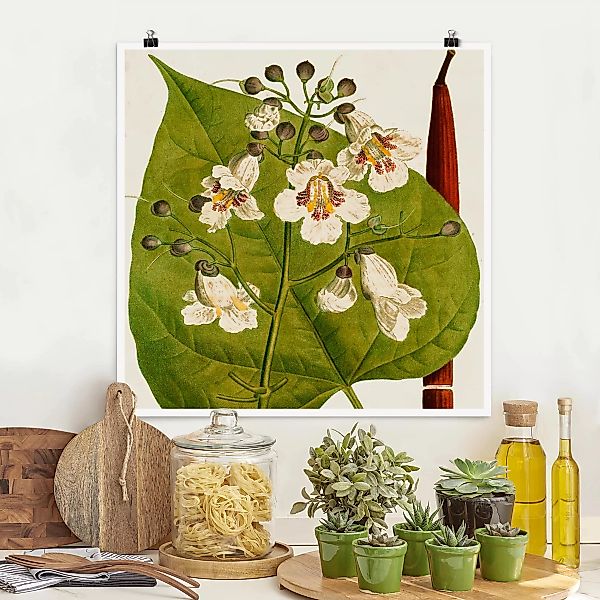 Poster - Quadrat Tableau Blatt Blüte Frucht V günstig online kaufen