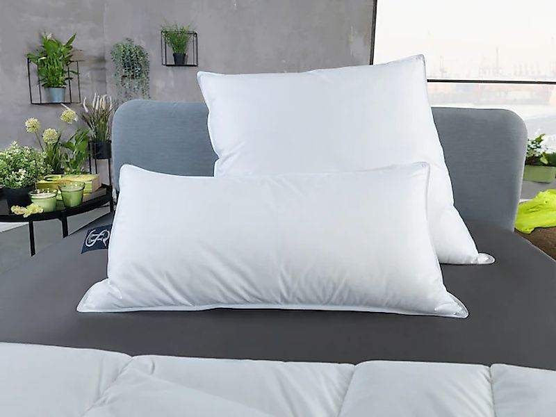 Haeussling Daunenkissen »Häussling Select-Made in Green« Füllung: weiße neu günstig online kaufen