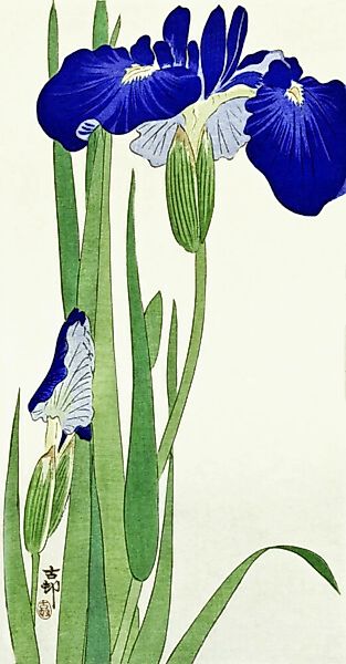 Poster / Leinwandbild - Irisblumen Von Ohara Koson günstig online kaufen