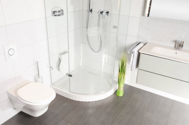 Sanilo WC-Sitz Basic, mit Absenkautomatik günstig online kaufen