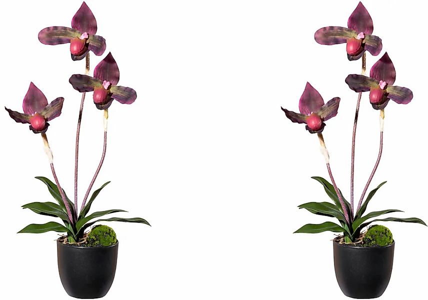 Creativ green Kunstorchidee "Orchidee Frauenschuh", mit Real-Touch-Blüten günstig online kaufen