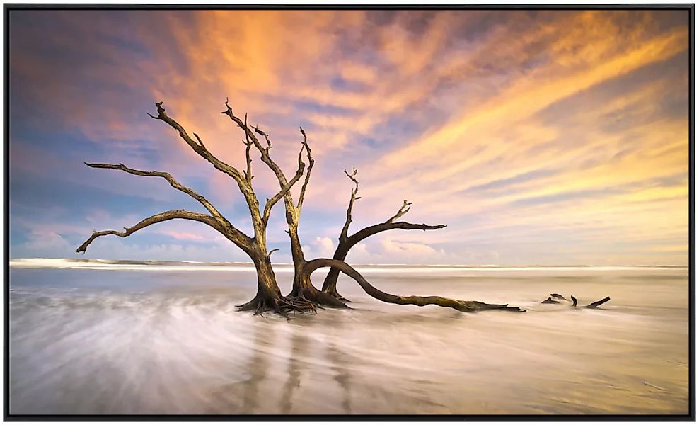 Papermoon Infrarotheizung »Torheit Strand toter Baum«, sehr angenehme Strah günstig online kaufen
