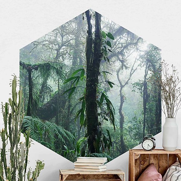 Hexagon Fototapete selbstklebend Monteverde Nebelwald günstig online kaufen