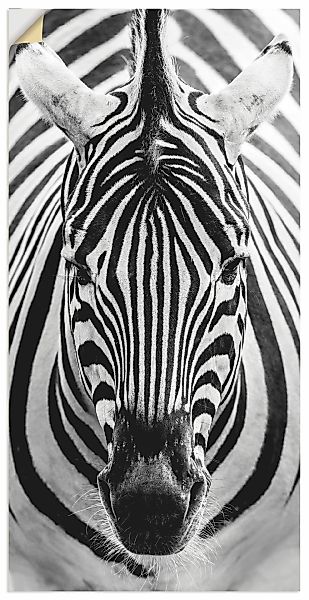 Artland Wandbild "Zebra", Wildtiere, (1 St.), als Leinwandbild, Poster, Wan günstig online kaufen