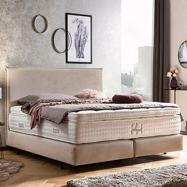 BettCo Boxspringbett London (200 x 200 cm, in Beige Samt), Kopfteil mit Bie günstig online kaufen