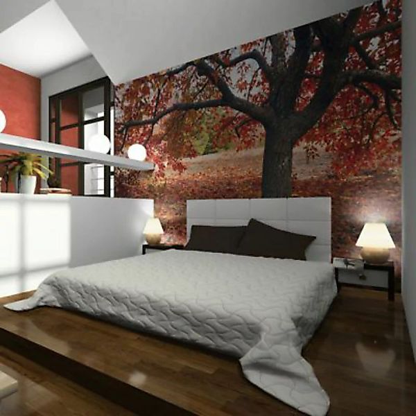 artgeist Fototapete Kupferroter Herbstbaum mehrfarbig Gr. 200 x 154 günstig online kaufen