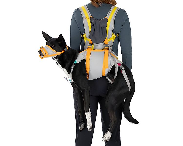 Ruffwear Sicherheitsgeschirr Notfallausrüstung BackTrak Dog Evacuation Kit günstig online kaufen