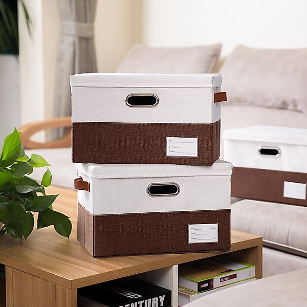 Coonoor Aufbewahrungsbox Aufbewahrungsbox mit Deckel, Kleiderschrank günstig online kaufen