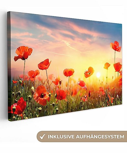 OneMillionCanvasses® Leinwandbild Mohnblumen - Frühling - Farben, Fotodruck günstig online kaufen