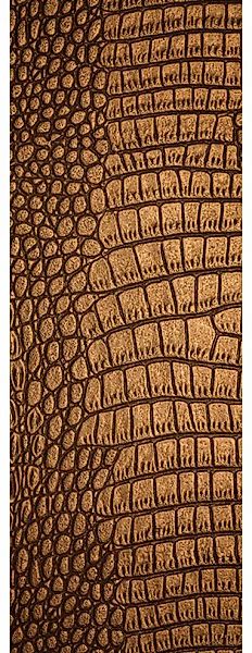 Architects Paper Fototapete "Skin Kroko" Struktur Tapete Krokodil Panel 1,0 günstig online kaufen