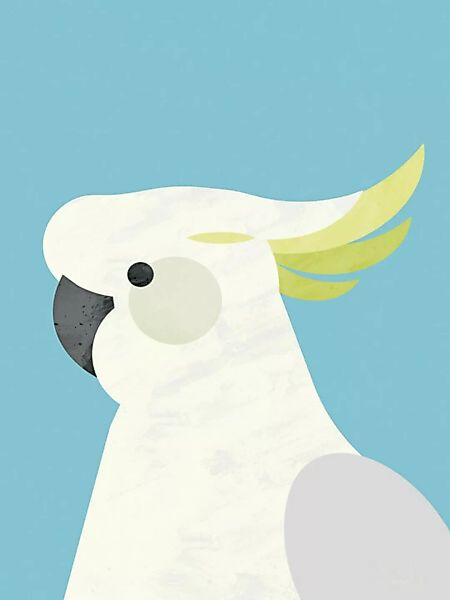 Poster / Leinwandbild - Parrot günstig online kaufen
