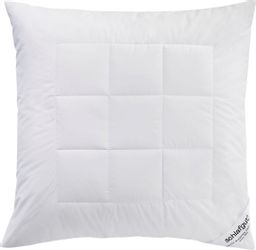 Schlafgut Kunstfaserkopfkissen "Premium Kissen" 1 Stk. tlg. Klimaregulierun günstig online kaufen