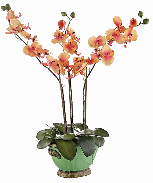 I.GE.A. Kunstpflanze "Orchidee" günstig online kaufen