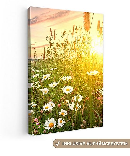 OneMillionCanvasses® Leinwandbild Blumen - Gänseblümchen - Natur - Sonne - günstig online kaufen