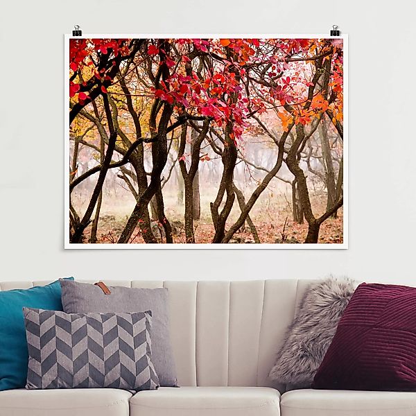 Poster Natur & Landschaft - Querformat Japan im Herbst günstig online kaufen