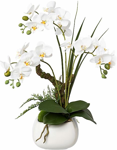 Creativ green Kunstorchidee "Deko-Orchidee Phalaenopsis im Keramiktopf" günstig online kaufen