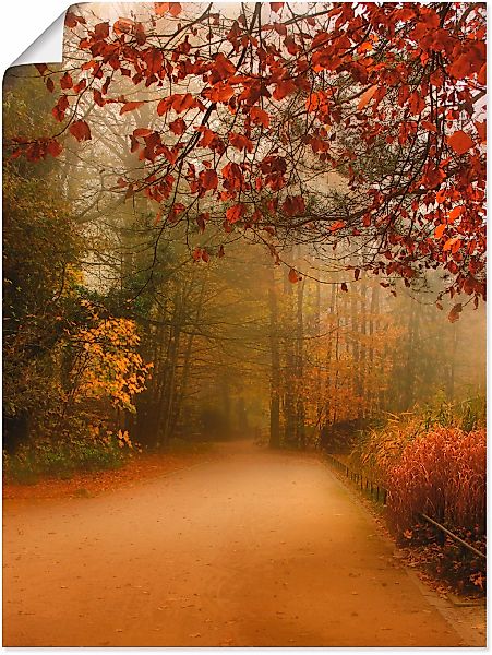Artland Wandbild "Herbst im Park" Vier Jahreszeiten 1 Stk. tlg. als Poster günstig online kaufen