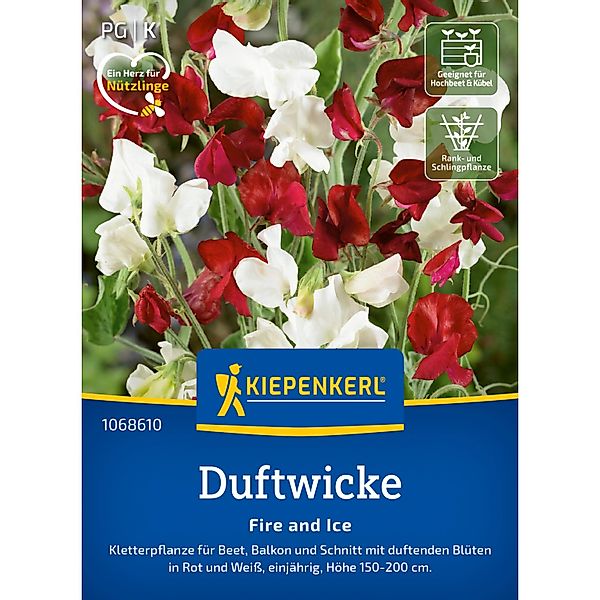 Kiepenkerl Duftwicke Fire and Ice Lathyrus odoratus günstig online kaufen