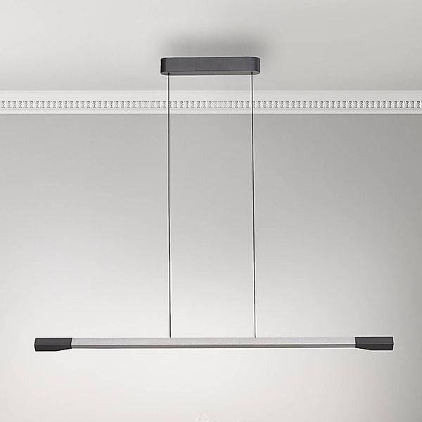 Paul Neuhaus Pendelleuchte »HOOP«, 1 flammig, Leuchtmittel LED-Board   LED günstig online kaufen