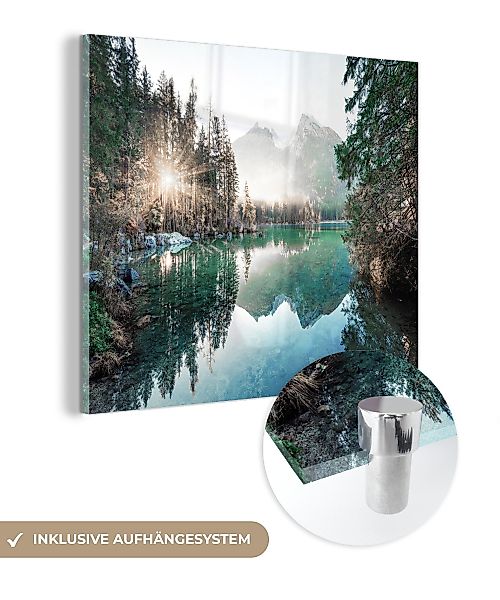 MuchoWow Acrylglasbild Natur - Bäume - günstig online kaufen