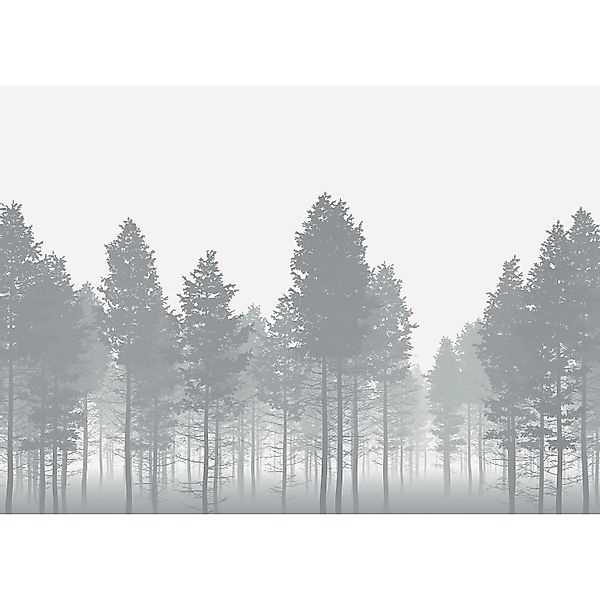 Komar Vliesfototapete Nebula 350 cm x 250 cm günstig online kaufen