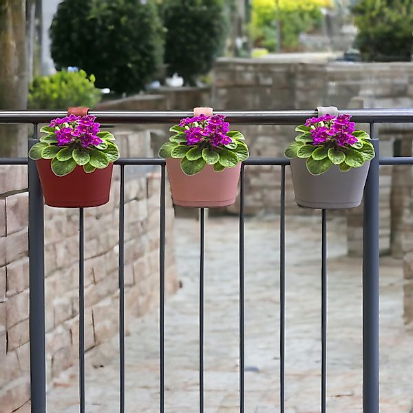 Engelland Blumenkasten Blumentopf zum Hängen (Vorteils-Set, günstig online kaufen