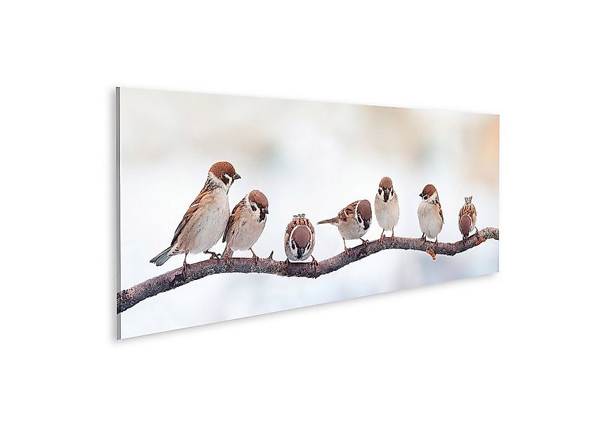 islandburner Leinwandbild Bild auf Leinwand Spatzen auf einem Zweig sitzend günstig online kaufen