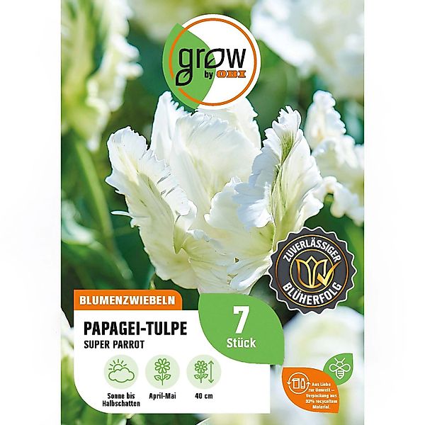 GROW by OBI Papagei-Tulpe Super Parrot  Weiß 7 Stück Tulipa parrot Super Pa günstig online kaufen