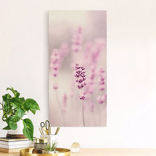 Leinwandbild auf Naturcanvas Zartvioletter Lavendel günstig online kaufen