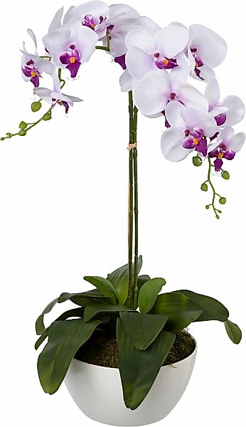 Kunstpflanze Orchidee, Creativ green, Höhe 65 günstig online kaufen