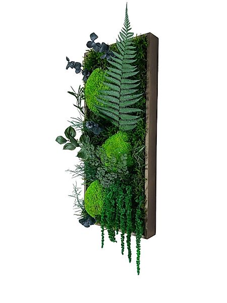 Gedankenwunder Manufaktur Bild Moosbild Ranken Dschungel günstig online kaufen