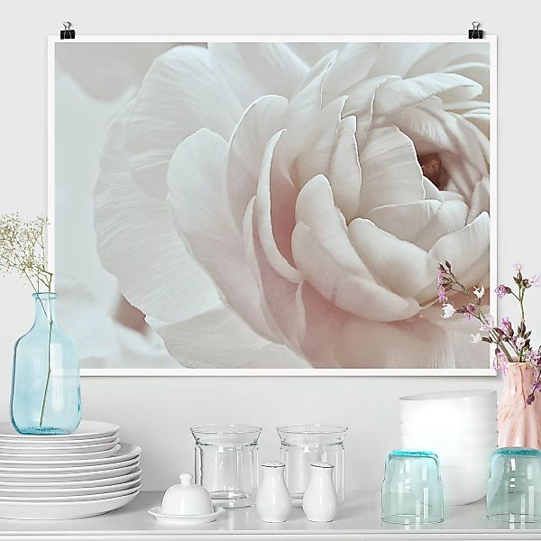 Poster Weiße Blüte im Blütenmeer günstig online kaufen