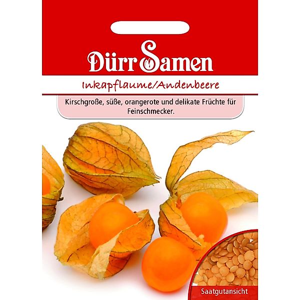 Dürr Samen Inkapflaume Andenbeere Saatgut günstig online kaufen