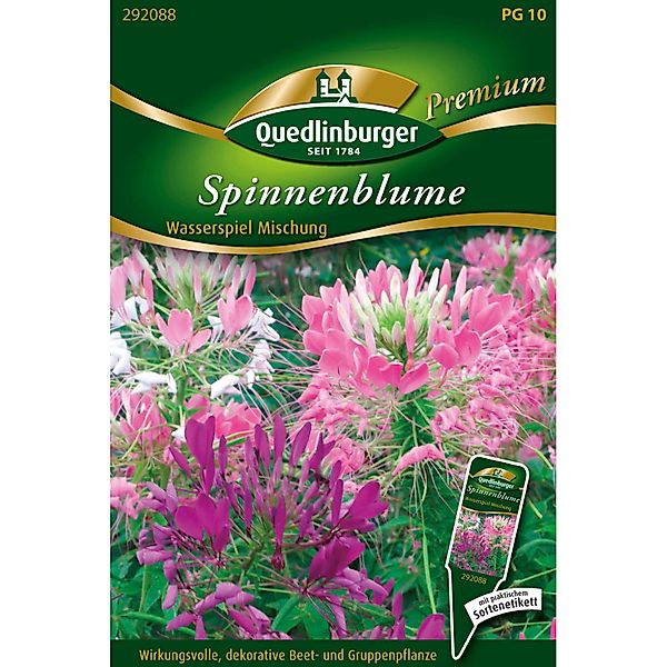 Quedlinburger Spinnenblume ''Wasserspiel Mischung'' günstig online kaufen