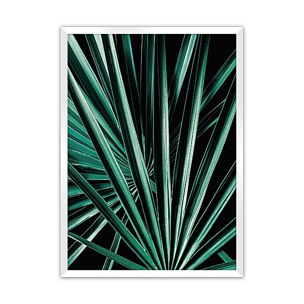 Poster Dark Palm Tree, 70 x 100 cm, Rahmen wählen: weiss günstig online kaufen