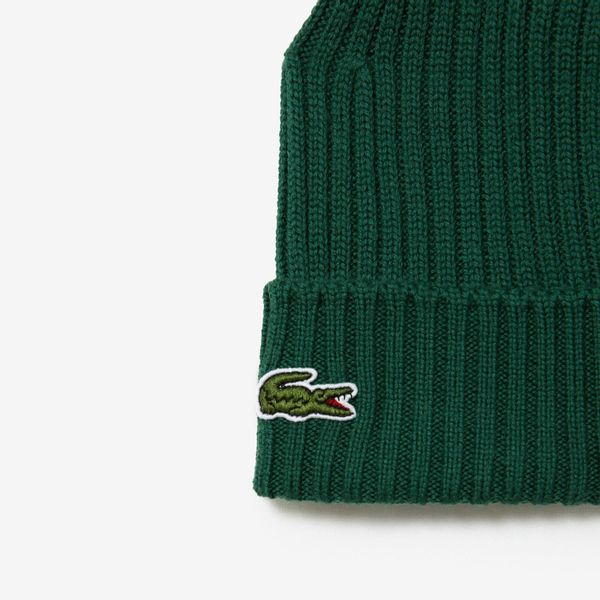 Lacoste Strickmütze Accessoires - Mütze (green) günstig online kaufen