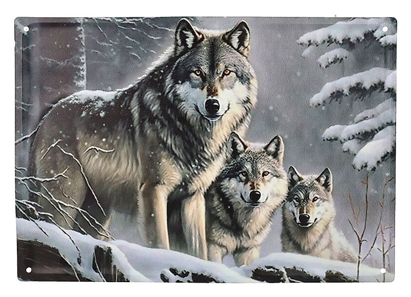 Figuren Shop GmbH Metallschild Blechschild - Wolfsrudel im Winterwald - Wan günstig online kaufen