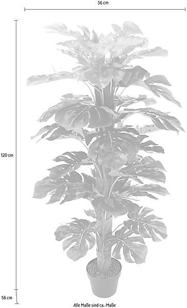 Kunstpflanze Splitphilopflanze, I.GE.A., Höhe 120 cm günstig online kaufen