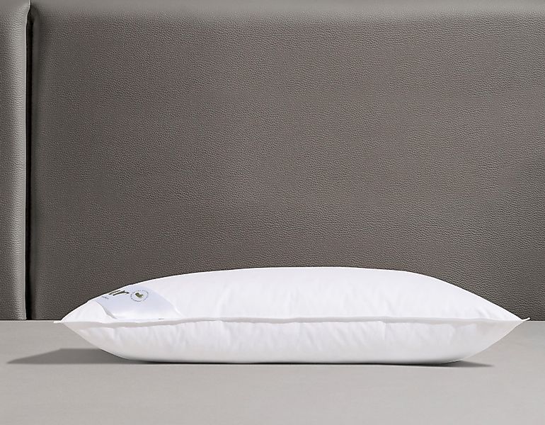fjödur Federkissen Finn, in 40x80 & günstig online kaufen